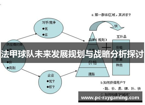 法甲球队未来发展规划与战略分析探讨