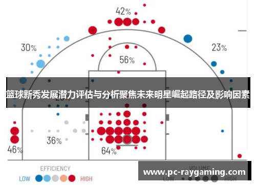 篮球新秀发展潜力评估与分析聚焦未来明星崛起路径及影响因素