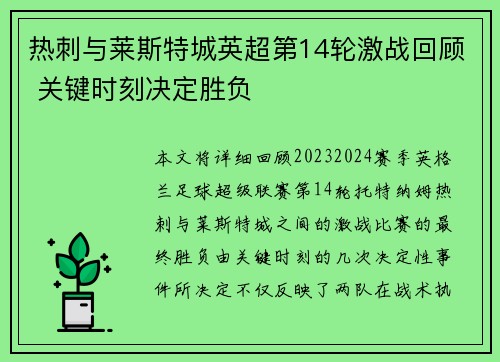热刺与莱斯特城英超第14轮激战回顾 关键时刻决定胜负