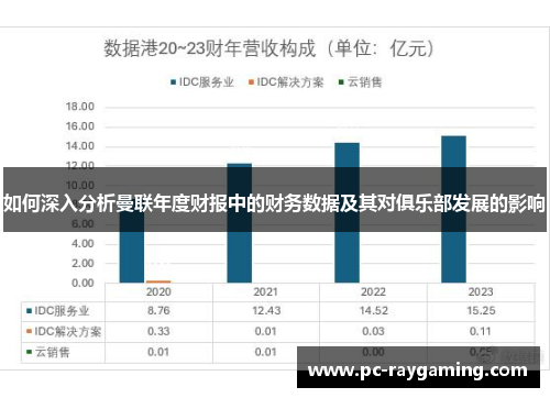 如何深入分析曼联年度财报中的财务数据及其对俱乐部发展的影响