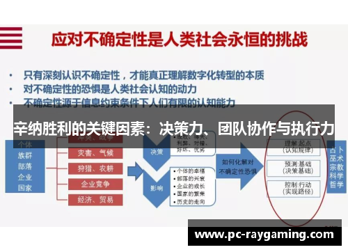 辛纳胜利的关键因素：决策力、团队协作与执行力