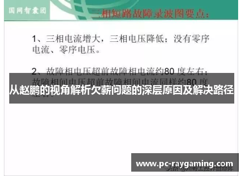 从赵鹏的视角解析欠薪问题的深层原因及解决路径