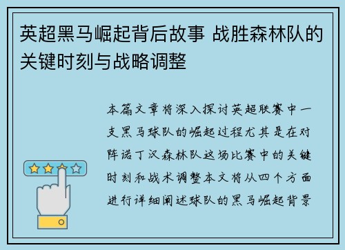 英超黑马崛起背后故事 战胜森林队的关键时刻与战略调整